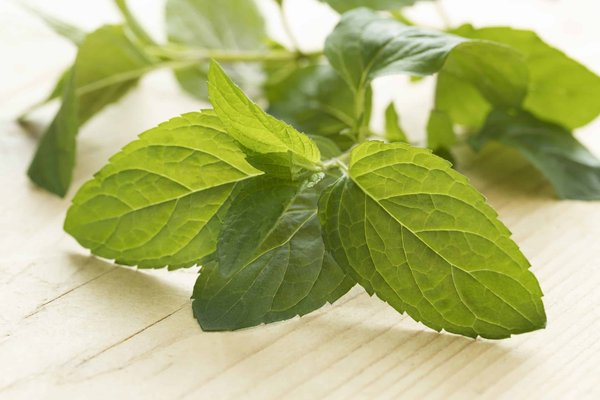 What's the Best Technique for Crafting a Rich Belgian Chocolate Truffle?