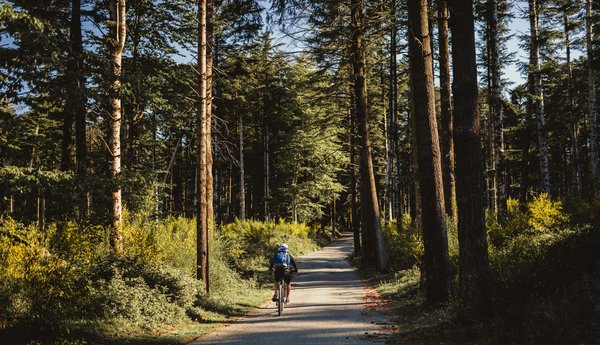 Discover the best things to do in rome for an unforgettable trip